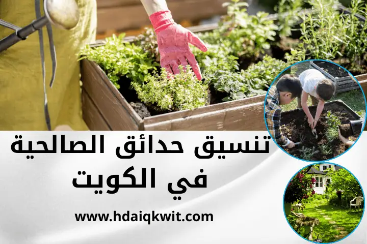 شركة تنسيق حدائق الصالحية