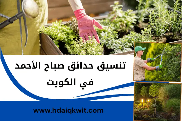 شركة تنسيق حدائق صباح الأحمد