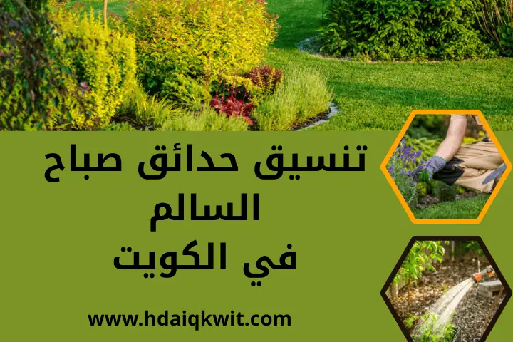 فني تنسيق حدائق صباح السالم