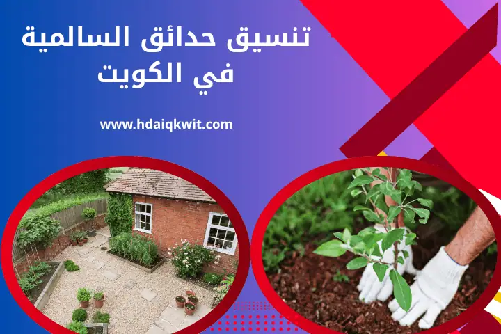 فني تنسيق حدائق السالمية