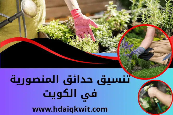 فني تنسيق حدائق المنصورية