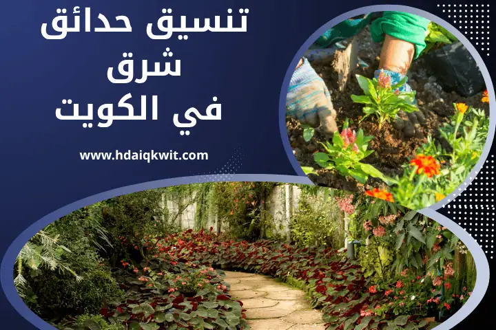 توريد زهور ونباتات زينة بالكويت 7/24 – جمال منزلك يبدأ من عندنا 3 فني تنسيق حدائق شرق