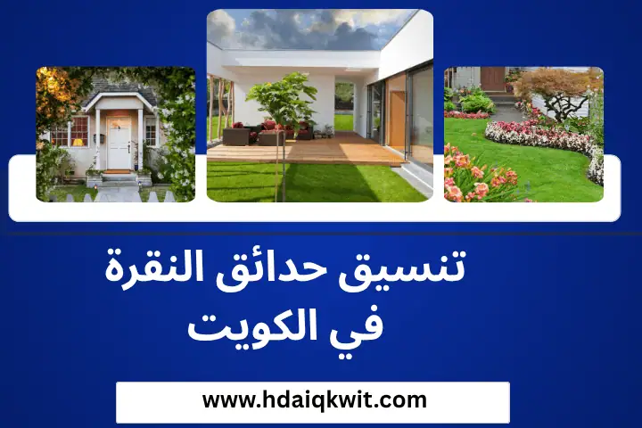توريد زهور ونباتات زينة بالكويت 7/24 – جمال منزلك يبدأ من عندنا 2 شركة تنسيق حدائق النقرة