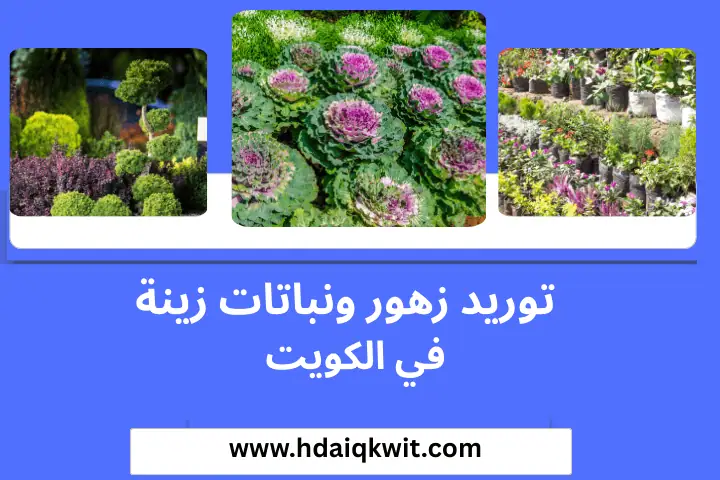 ورشة توريد زهور ونباتات زينة