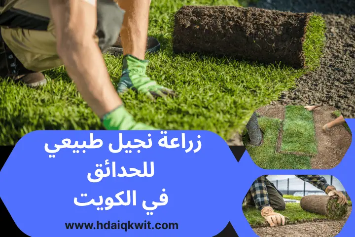 زراعة نجيل طبيعي للحدائق