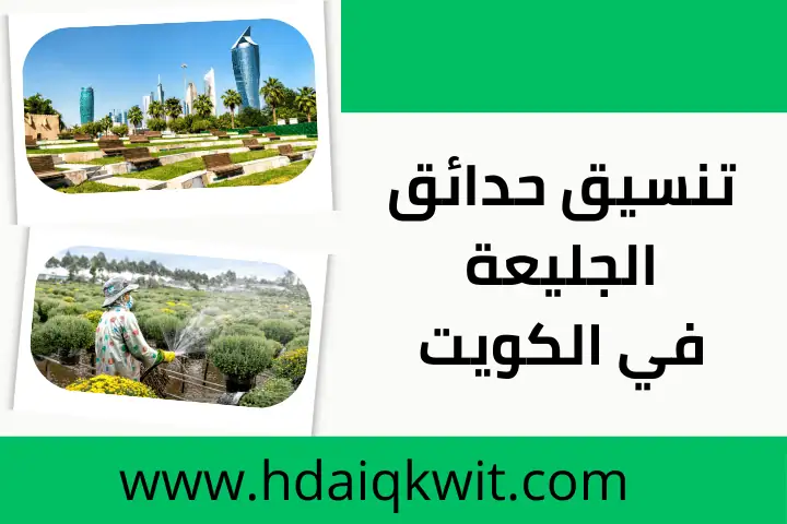 تنسيق حدائق الجليعة بالكويت 24 /7 – أفضل تصاميم وزراعة حدائق 5 فني تنسيق حدائق الجليعة