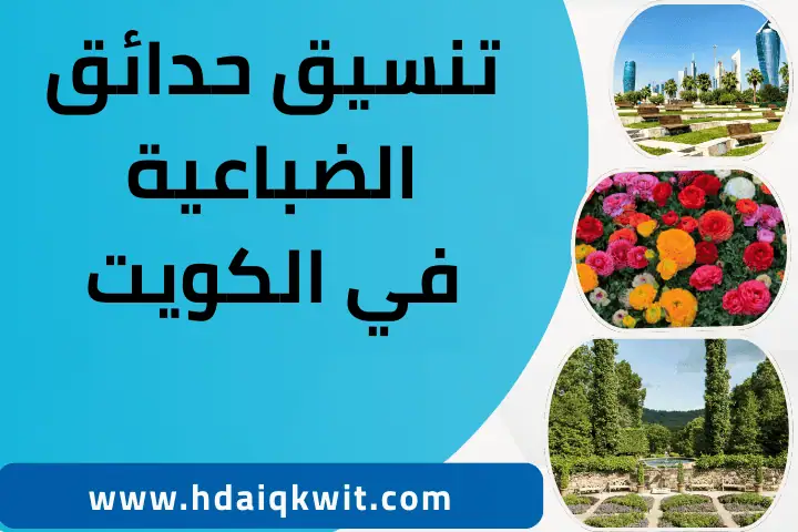 تنسيق حدائق فيلكا بالكويت – خدمة احترافية وجميلة وفنية 24 /7 3 فني تنسيق حدائق الضباعية