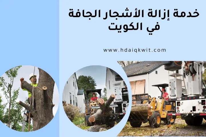 افضل خدمة إزالة الأشجار الجافة