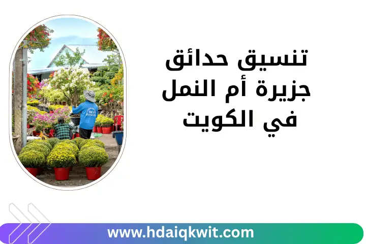 تنسيق حدائق جزيرة أم النمل في الكويت 24 ساعة – تصميمات طبيعية 6 فني تنسيق حدائق جزيرة أم النمل