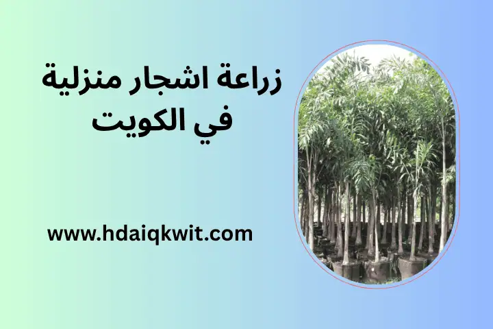 زراعة اشجار منزلية بالكويت 24 ساعة – شركة تصميم حدائق منزلية 2 عامل زراعة اشجار منزلية
