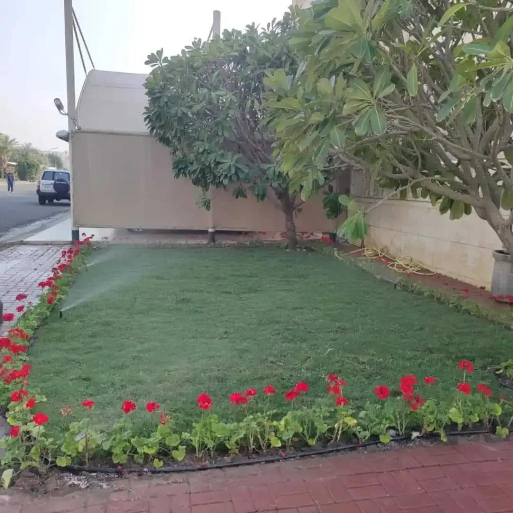 تنسيق حدائق الكويت 31 ثيل طبيعي الكويت 1