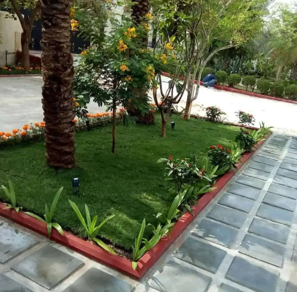 تنسيق حدائق الكويت 20 قص الاشجار